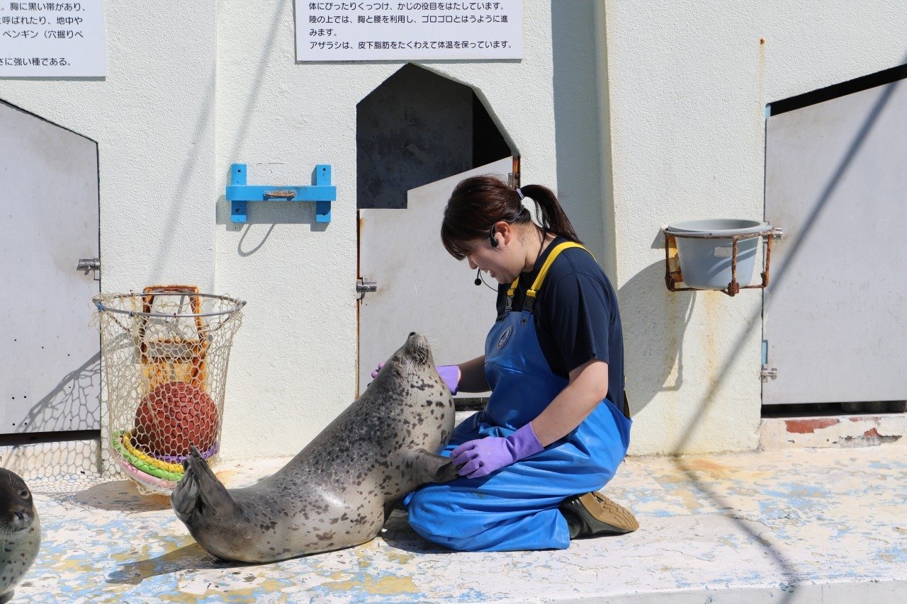 🌊 왓카나이 시립 노삿푸 한류 수족관 (왓카나이 시리츠 노샷푸 칸류스이조쿠칸)